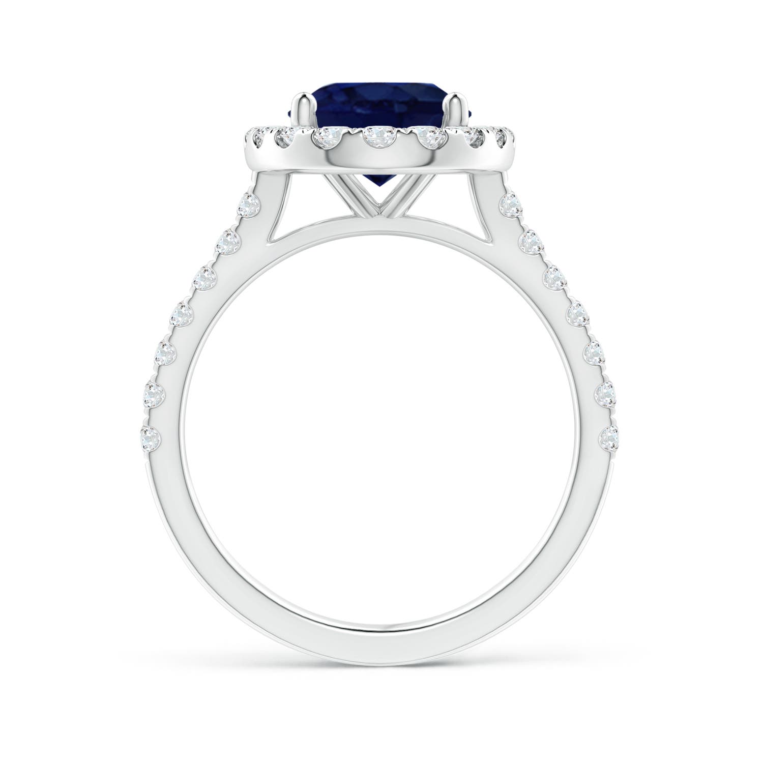 10x8mm A Oval Sapphire Halo Ring with Diamond Accents in P950 Platinum - side 3