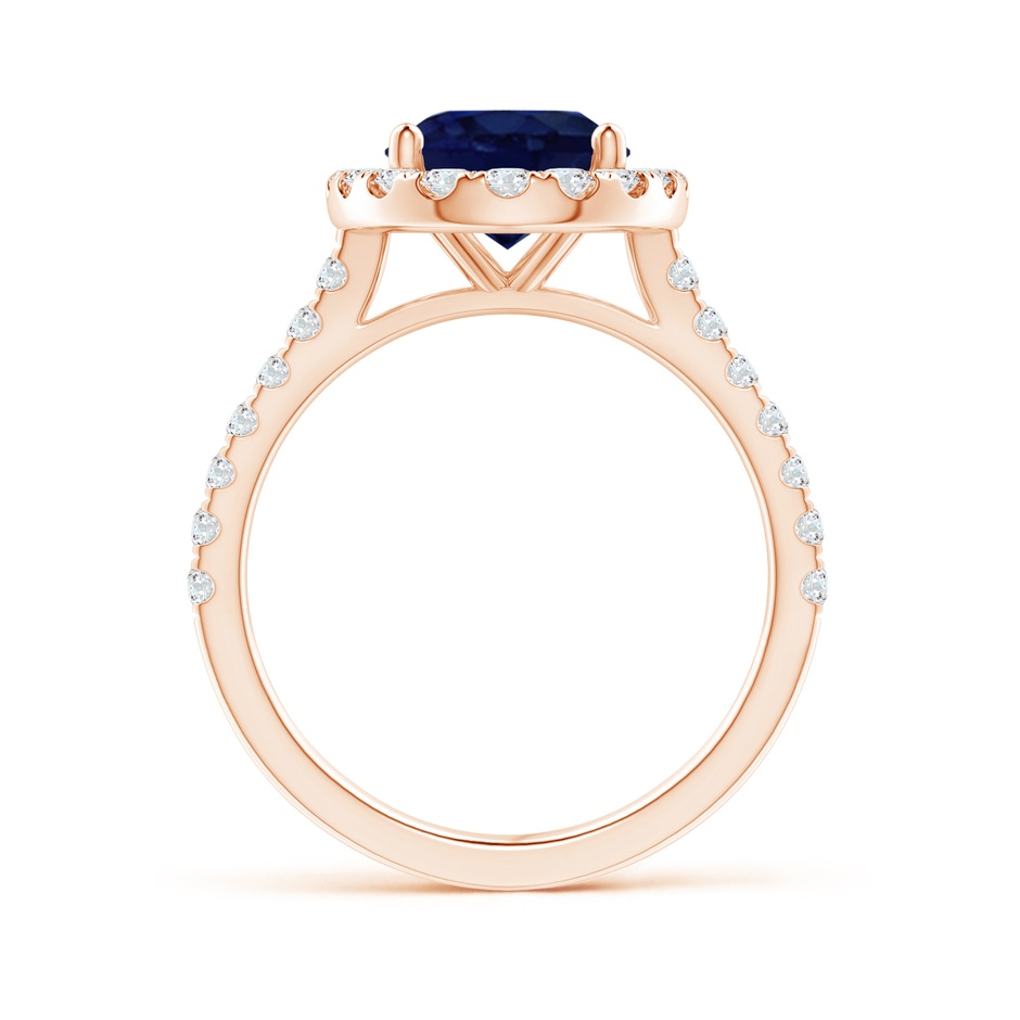 10x8mm A Oval Sapphire Halo Ring with Diamond Accents in Rose Gold side 199