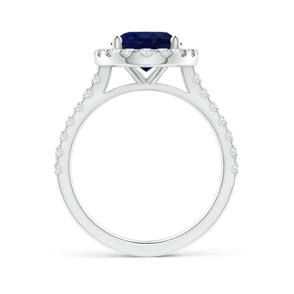 10x8mm A Oval Sapphire Halo Ring with Diamond Accents in White Gold side 199