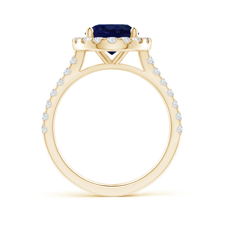 10x8mm A Oval Sapphire Halo Ring with Diamond Accents in Yellow Gold side 199