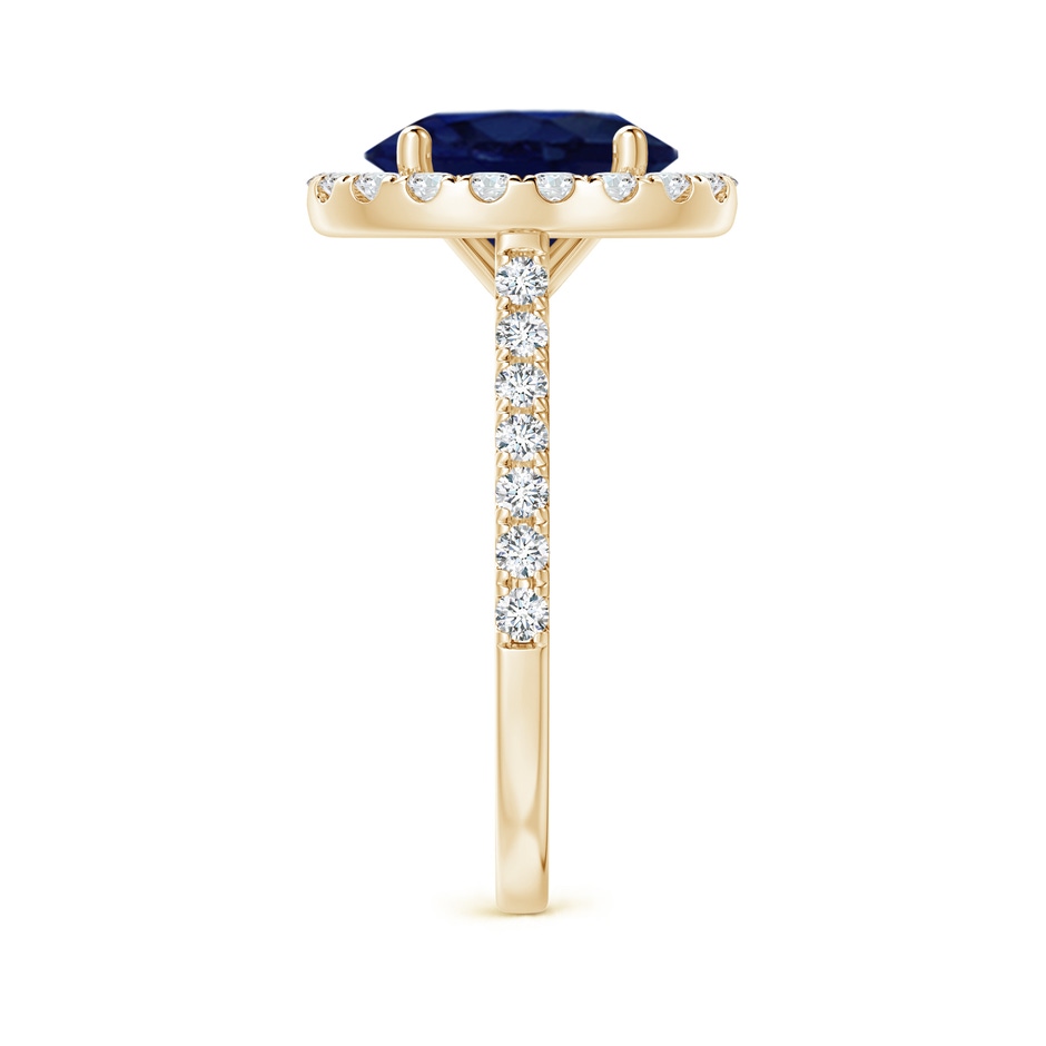 10x8mm A Oval Sapphire Halo Ring with Diamond Accents in Yellow Gold side 299