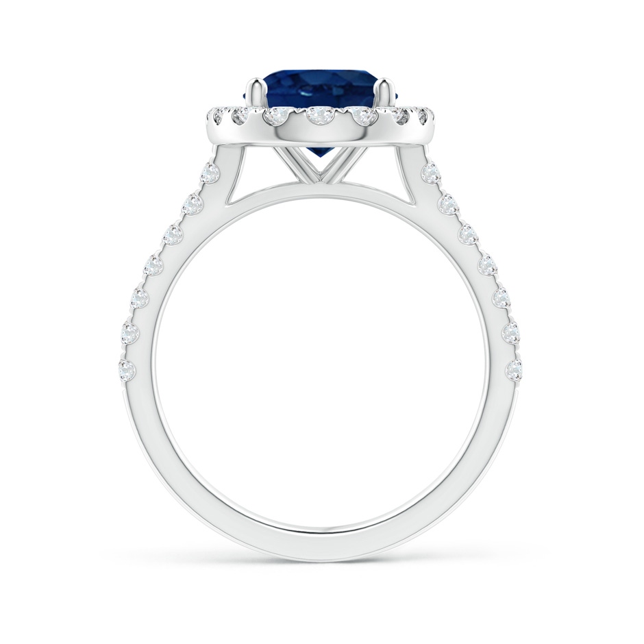 10x8mm AA Oval Sapphire Halo Ring with Diamond Accents in P950 Platinum side 199