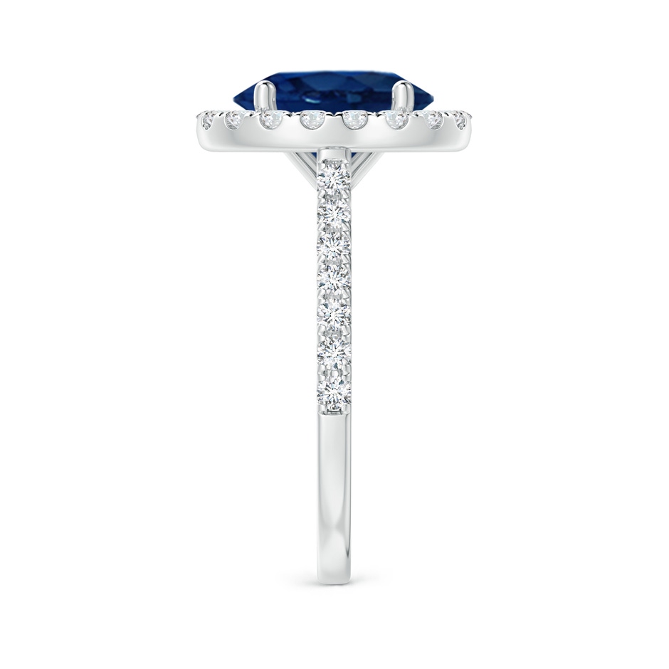 10x8mm AA Oval Sapphire Halo Ring with Diamond Accents in P950 Platinum side 299