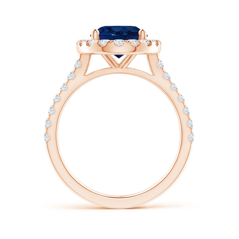 10x8mm AA Oval Sapphire Halo Ring with Diamond Accents in Rose Gold side 199