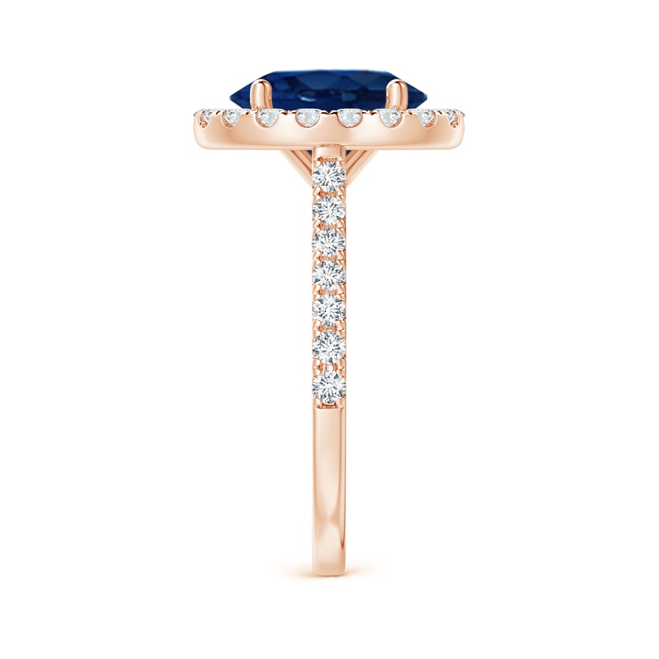 10x8mm AA Oval Sapphire Halo Ring with Diamond Accents in Rose Gold side 299