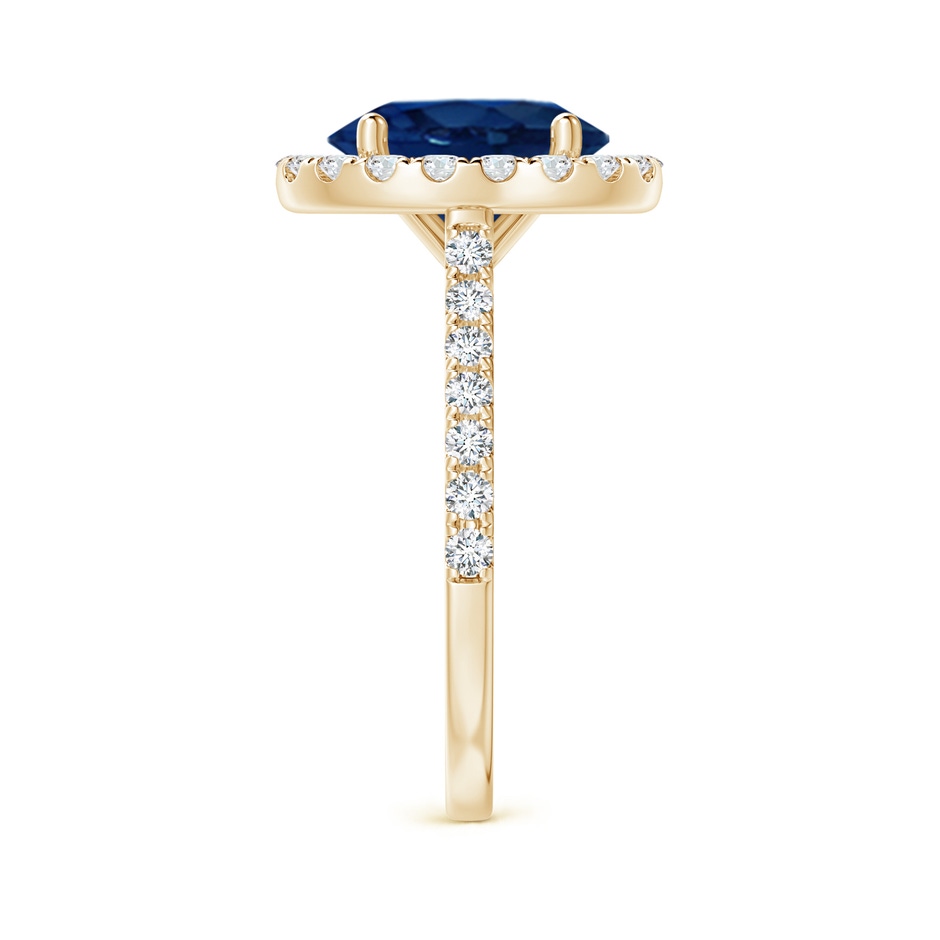10x8mm AA Oval Sapphire Halo Ring with Diamond Accents in Yellow Gold side 299
