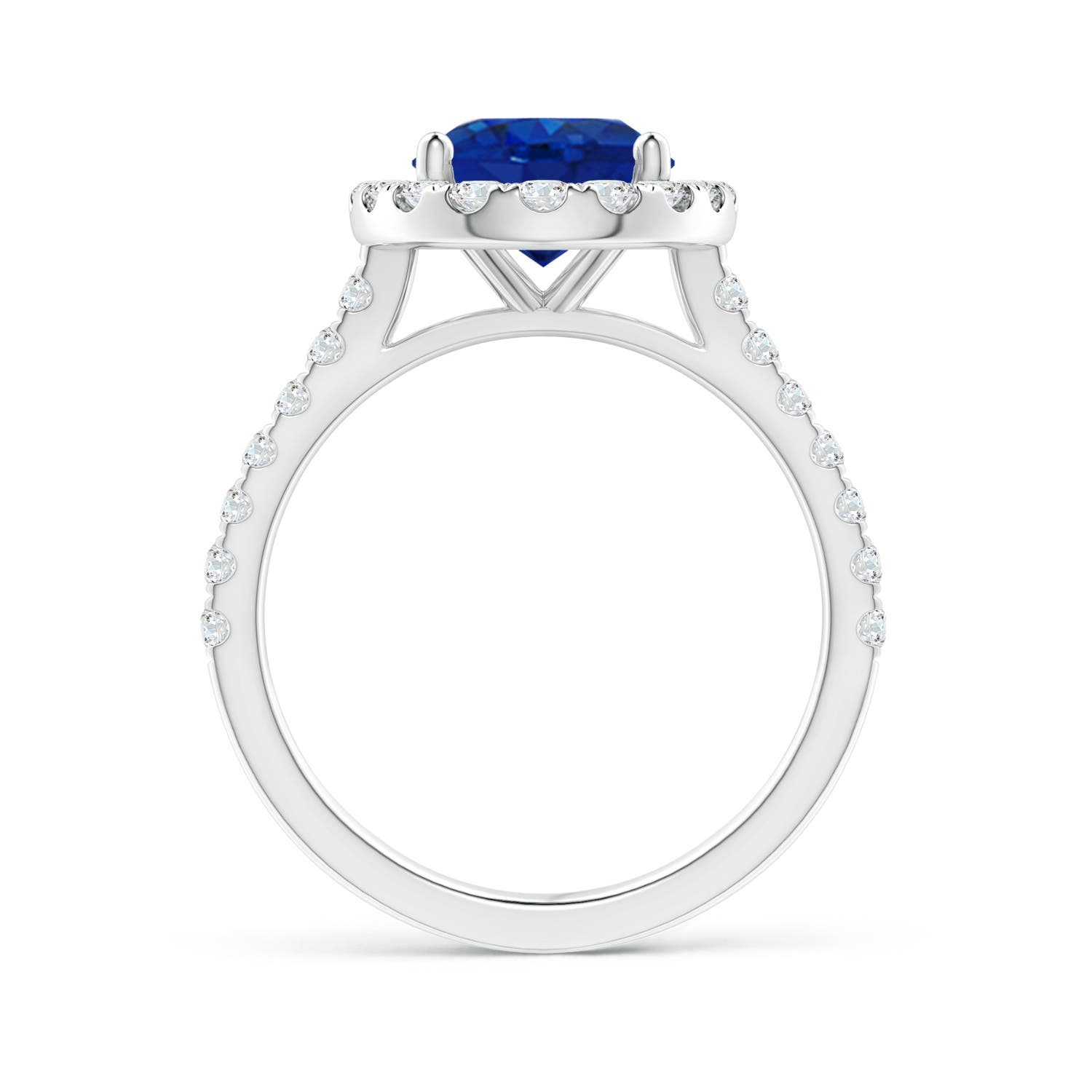 10x8mm AAA Oval Sapphire Halo Ring with Diamond Accents in White Gold