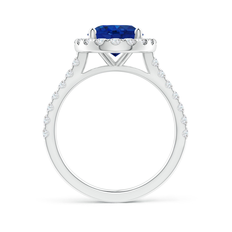 10x8mm AAA Oval Sapphire Halo Ring with Diamond Accents in White Gold side 199