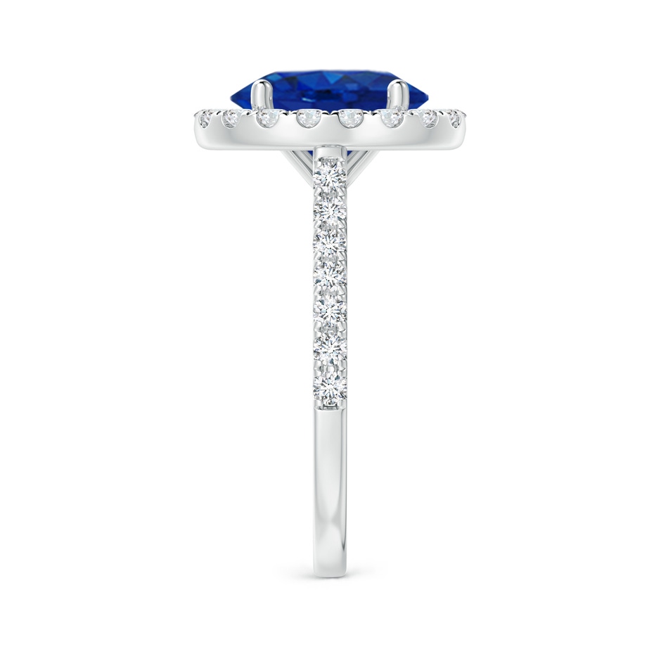 10x8mm AAA Oval Sapphire Halo Ring with Diamond Accents in White Gold side 299