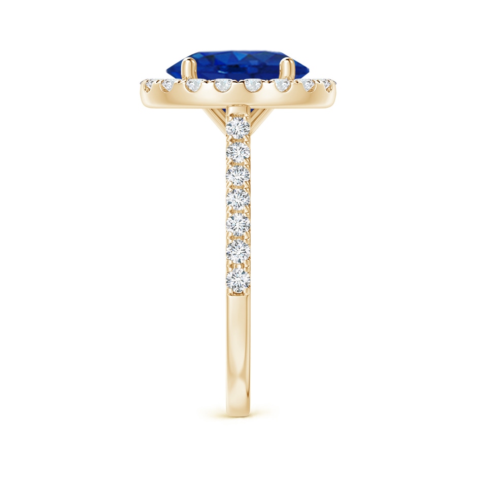 10x8mm AAA Oval Sapphire Halo Ring with Diamond Accents in Yellow Gold side 299