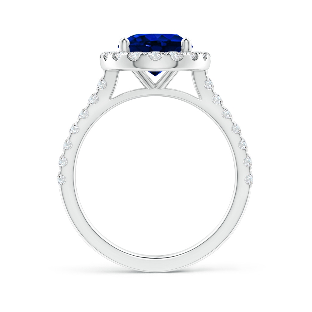 10x8mm AAAA Oval Sapphire Halo Ring with Diamond Accents in P950 Platinum Side 199