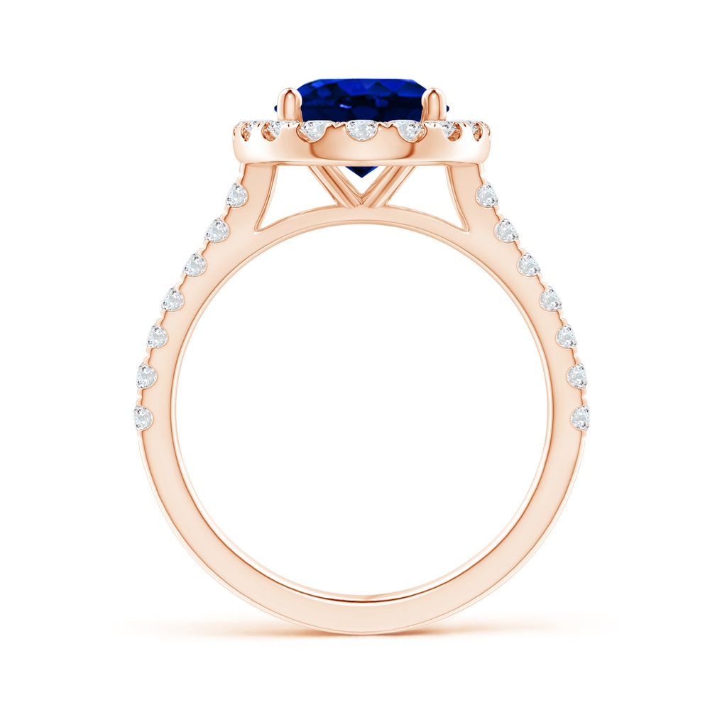 10x8mm AAAA Oval Sapphire Halo Ring with Diamond Accents in Rose Gold Side 199