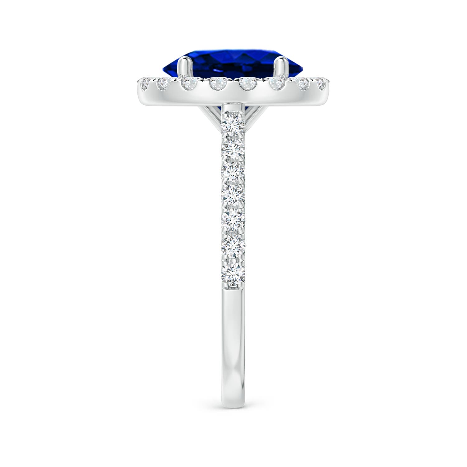 10x8mm AAAA Oval Sapphire Halo Ring with Diamond Accents in White Gold - side 6