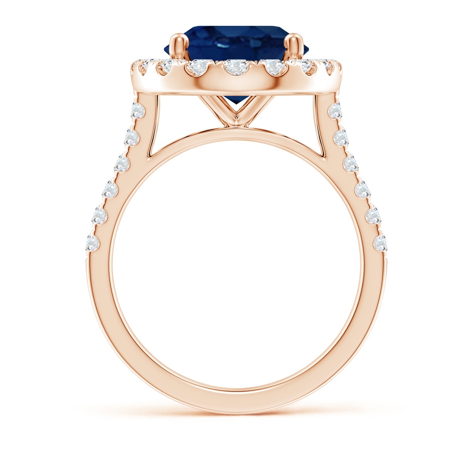 12x10mm AA Oval Sapphire Halo Ring with Diamond Accents in Rose Gold side 199
