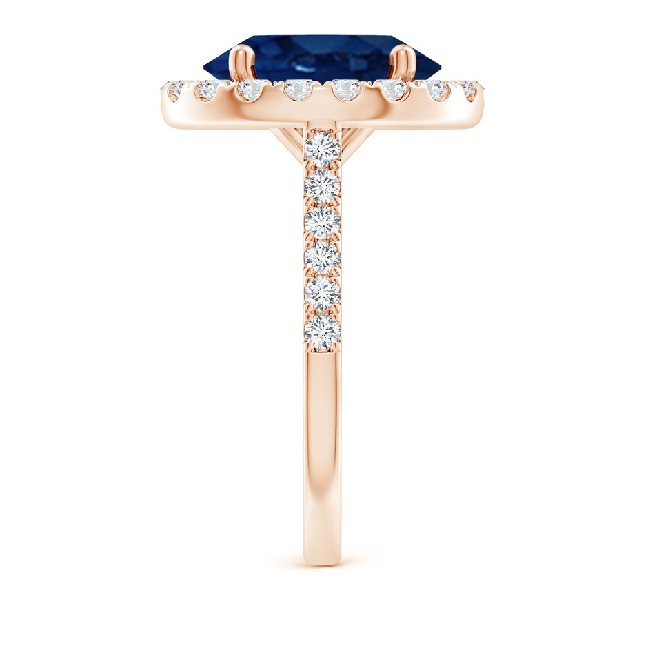 12x10mm AA Oval Sapphire Halo Ring with Diamond Accents in Rose Gold side 299