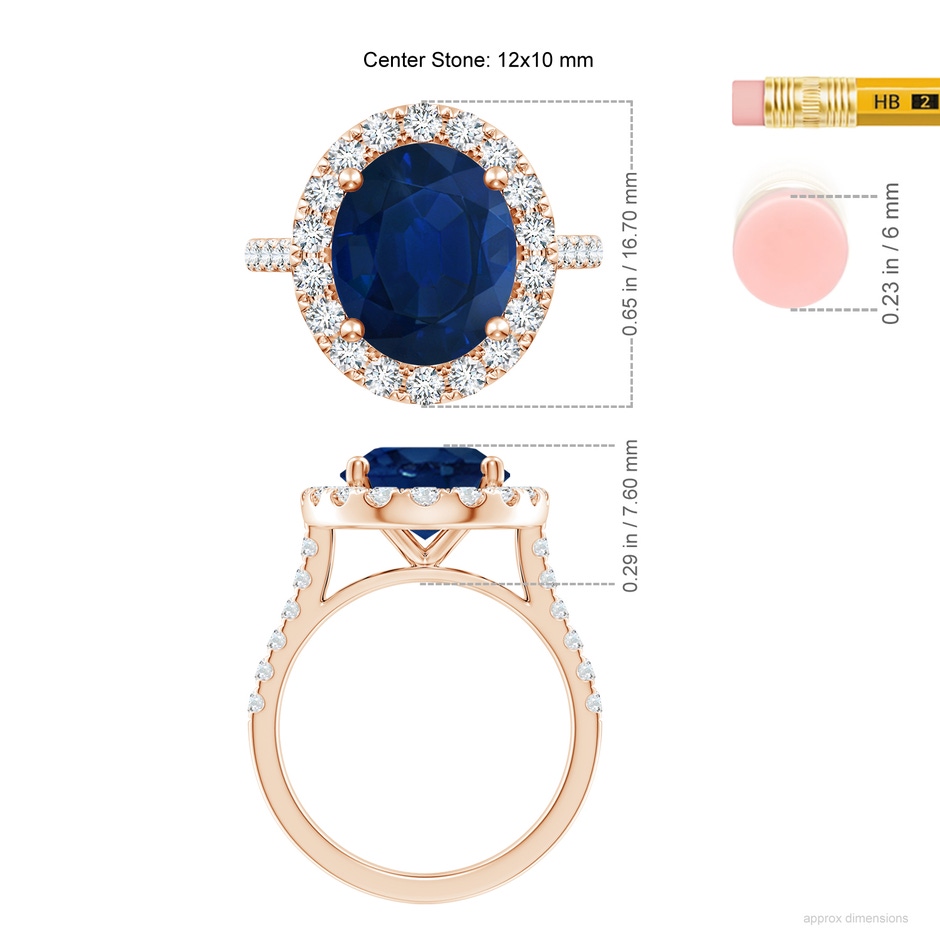 12x10mm AA Oval Sapphire Halo Ring with Diamond Accents in Rose Gold ruler