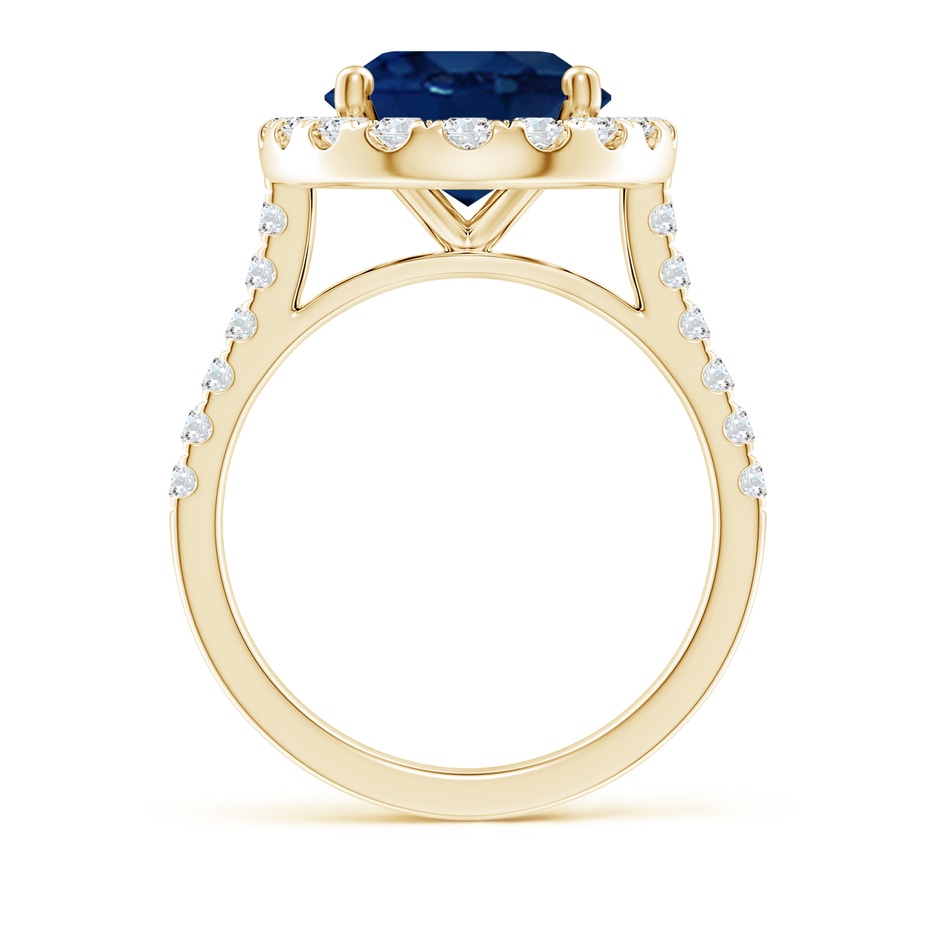 12x10mm AA Oval Sapphire Halo Ring with Diamond Accents in Yellow Gold side 199