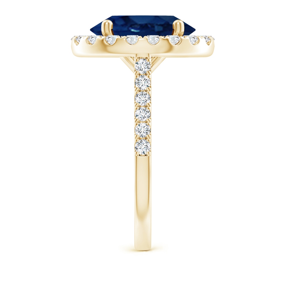 12x10mm AA Oval Sapphire Halo Ring with Diamond Accents in Yellow Gold side 299