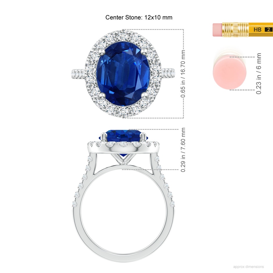 12x10mm AAA Oval Sapphire Halo Ring with Diamond Accents in P950 Platinum ruler