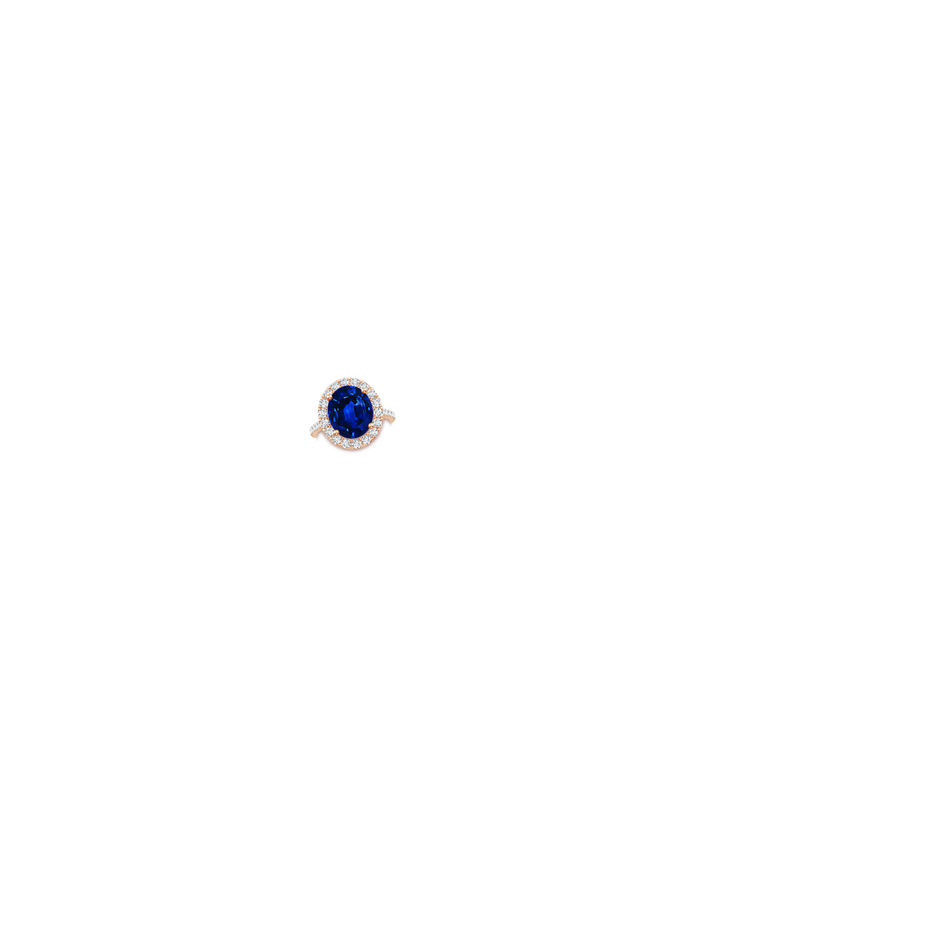 12x10mm AAAA Oval Sapphire Halo Ring with Diamond Accents in Rose Gold hand