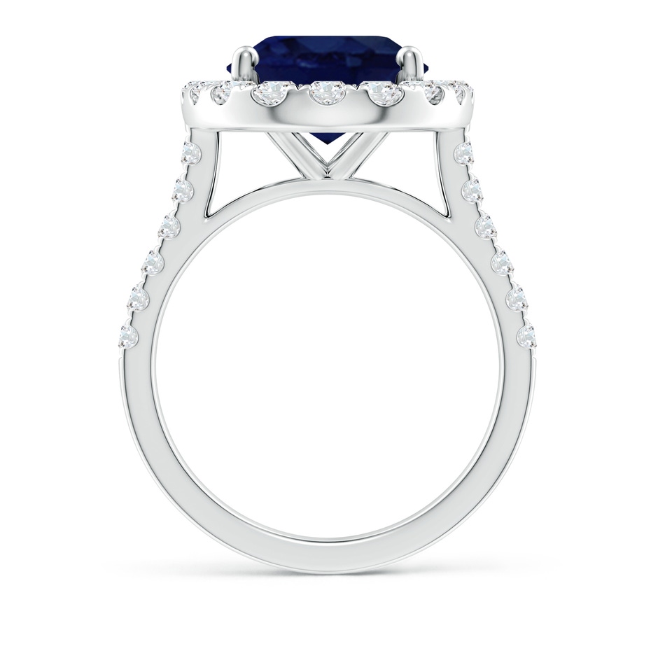 14x10mm A Oval Sapphire Halo Ring with Diamond Accents in P950 Platinum side 199