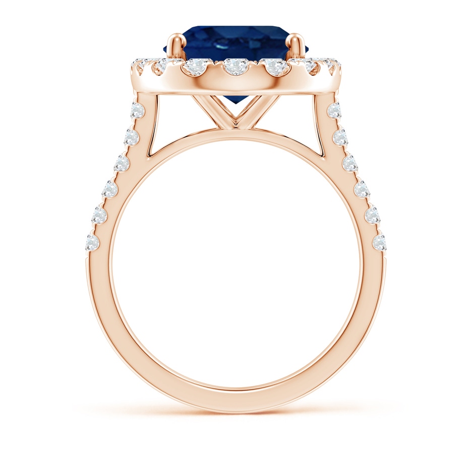 14x10mm AA Oval Sapphire Halo Ring with Diamond Accents in Rose Gold side 199