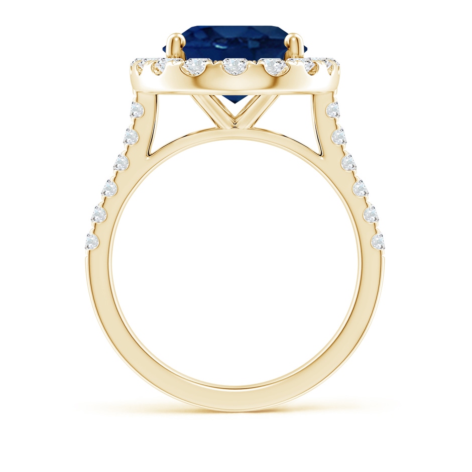 14x10mm AA Oval Sapphire Halo Ring with Diamond Accents in Yellow Gold side 199