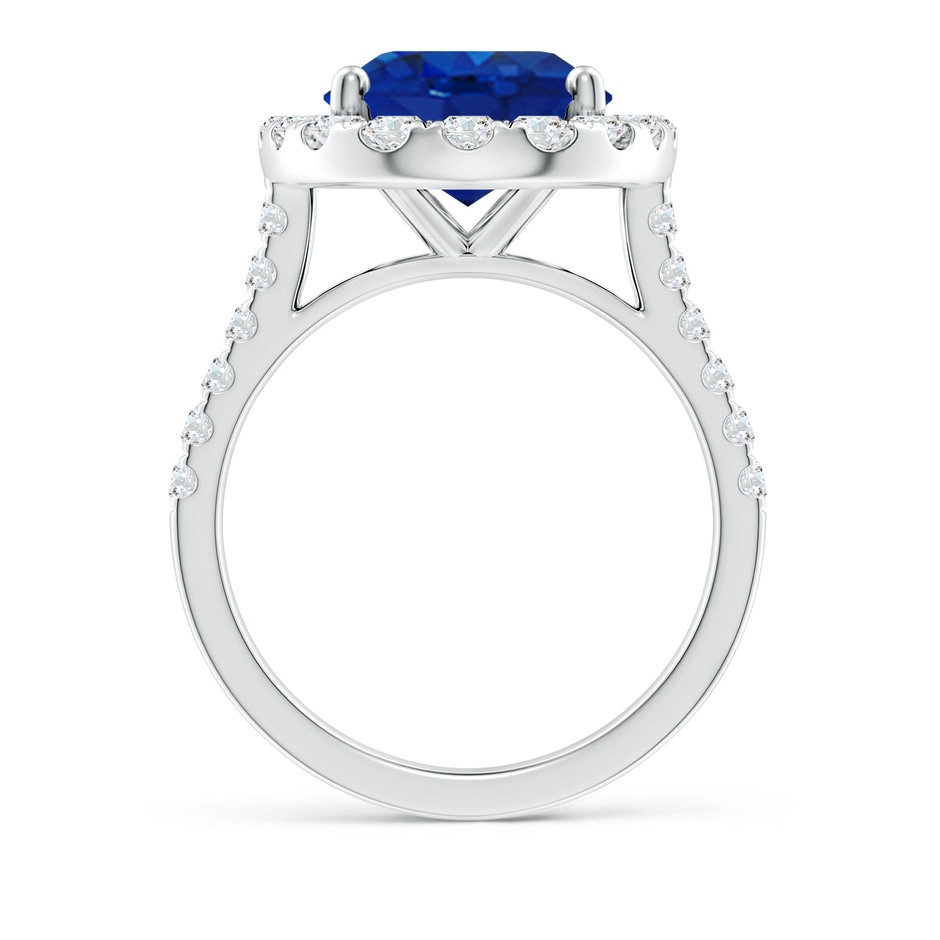 14x10mm AAA Oval Sapphire Halo Ring with Diamond Accents in P950 Platinum side 199