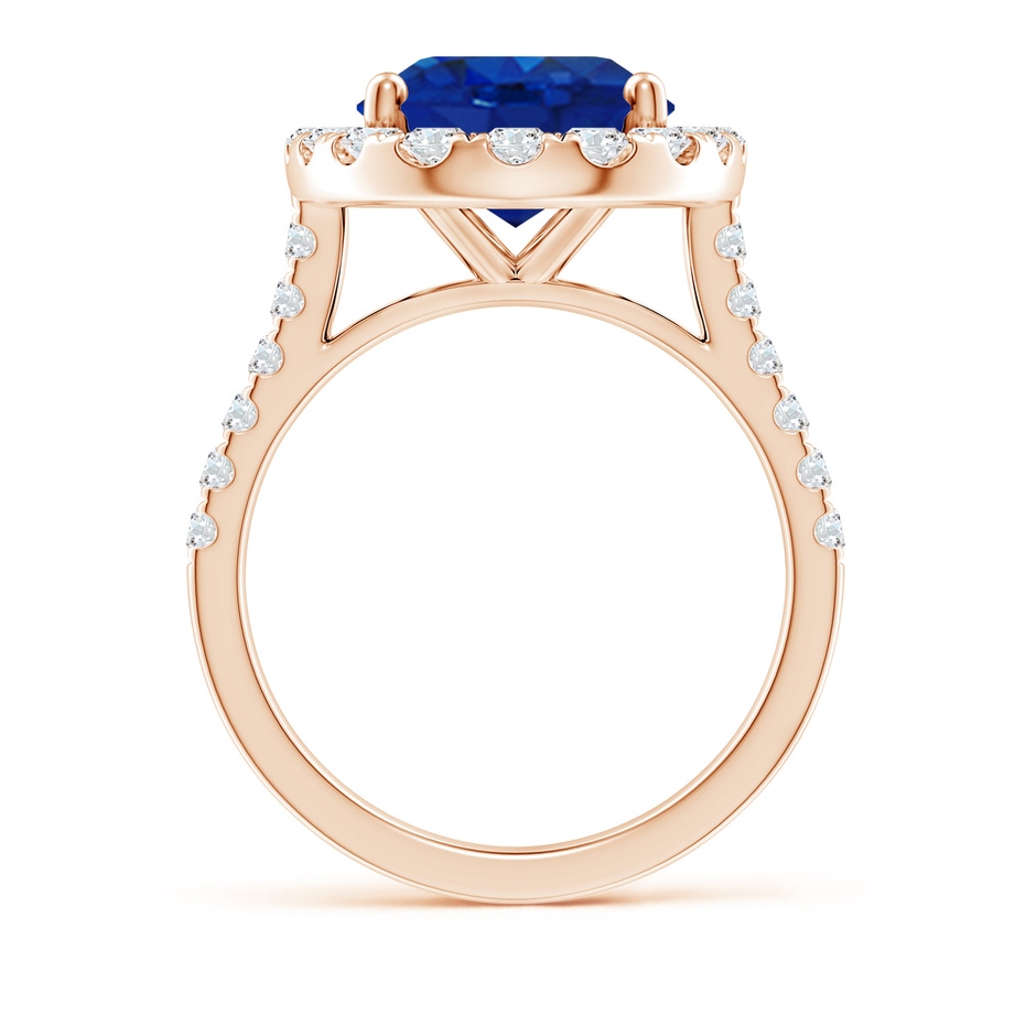 14x10mm AAA Oval Sapphire Halo Ring with Diamond Accents in Rose Gold side 199