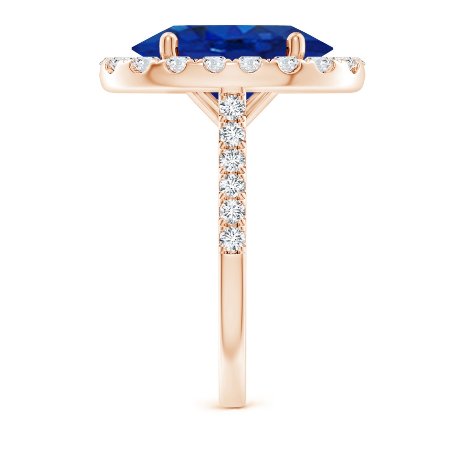 14x10mm AAA Oval Sapphire Halo Ring with Diamond Accents in Rose Gold side 299