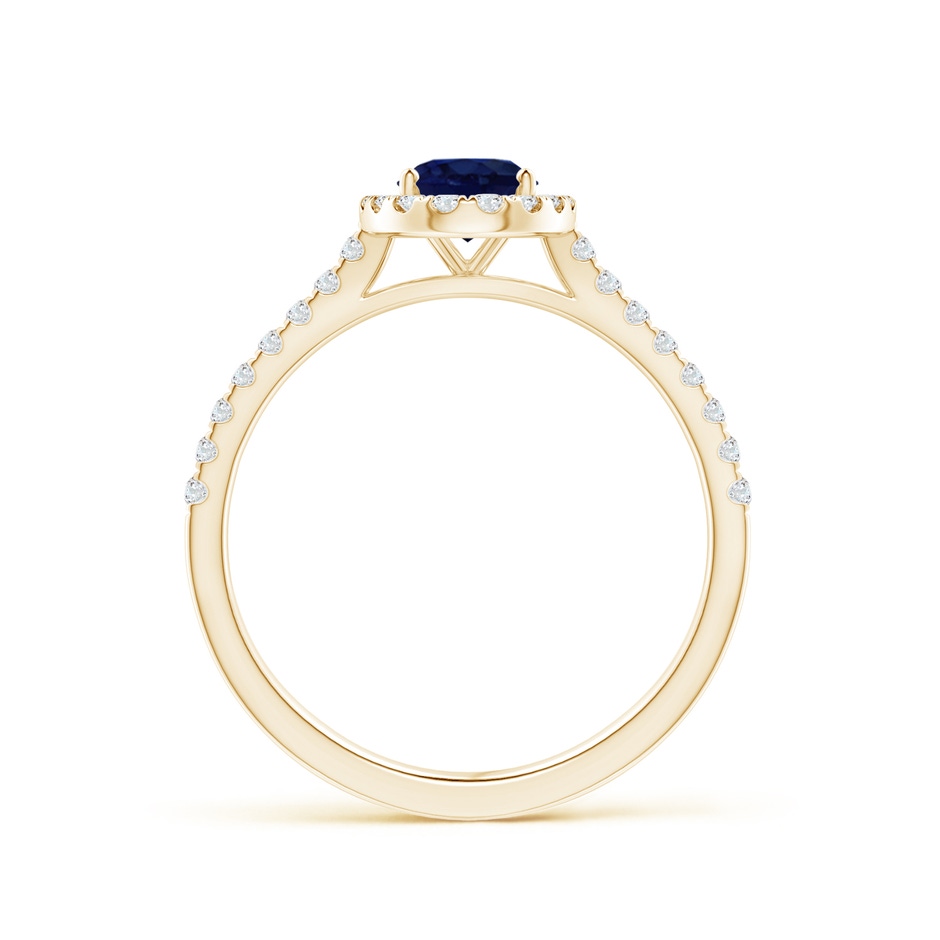 7x5mm A Oval Sapphire Halo Ring with Diamond Accents in 9K Yellow Gold side 199