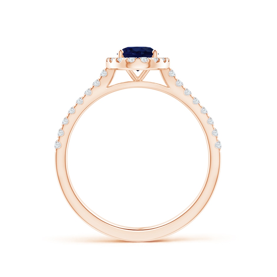 7x5mm A Oval Sapphire Halo Ring with Diamond Accents in Rose Gold side 199