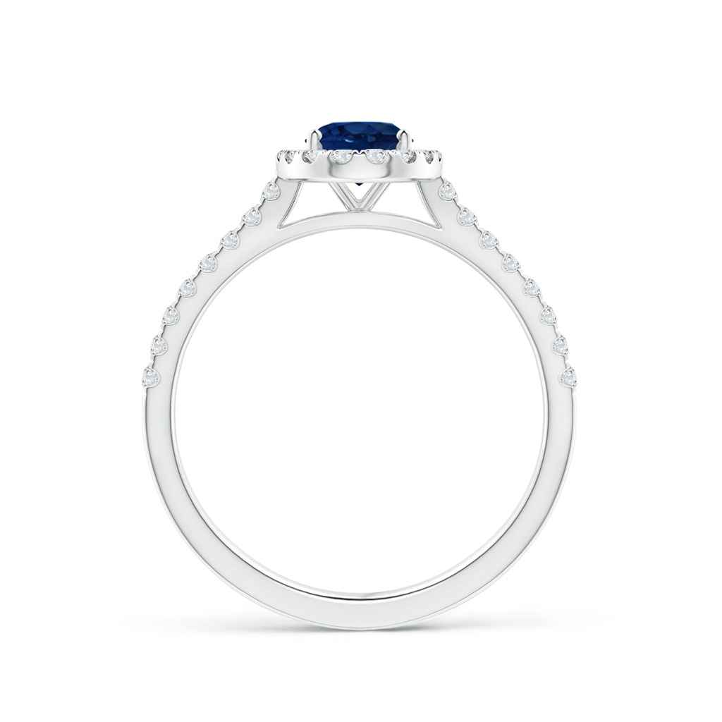 7x5mm AA Oval Sapphire Halo Ring with Diamond Accents in P950 Platinum Side 199