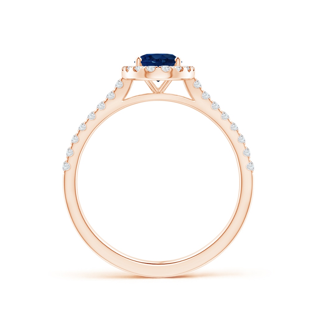 7x5mm AA Oval Sapphire Halo Ring with Diamond Accents in Rose Gold Side 199