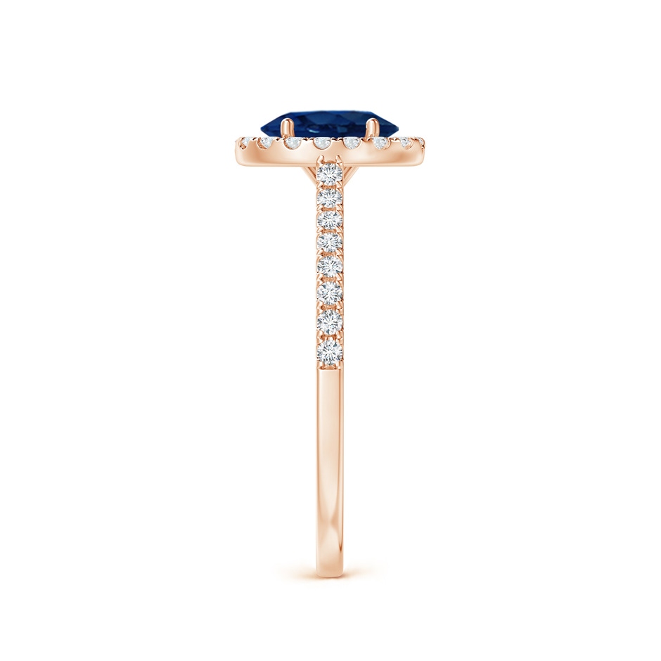 7x5mm AA Oval Sapphire Halo Ring with Diamond Accents in Rose Gold side 299