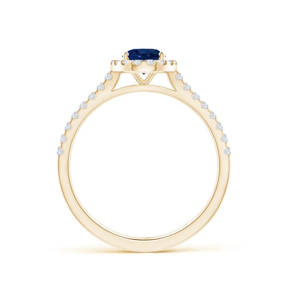 7x5mm AA Oval Sapphire Halo Ring with Diamond Accents in Yellow Gold side 199