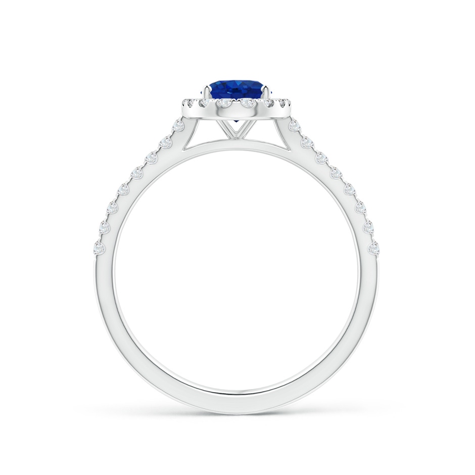 7x5mm AAA Oval Sapphire Halo Ring with Diamond Accents in P950 Platinum side 199