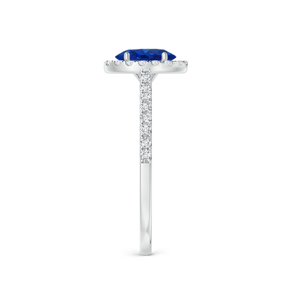 7x5mm AAA Oval Sapphire Halo Ring with Diamond Accents in P950 Platinum side 299