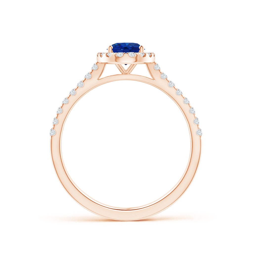7x5mm AAA Oval Sapphire Halo Ring with Diamond Accents in Rose Gold Side 199