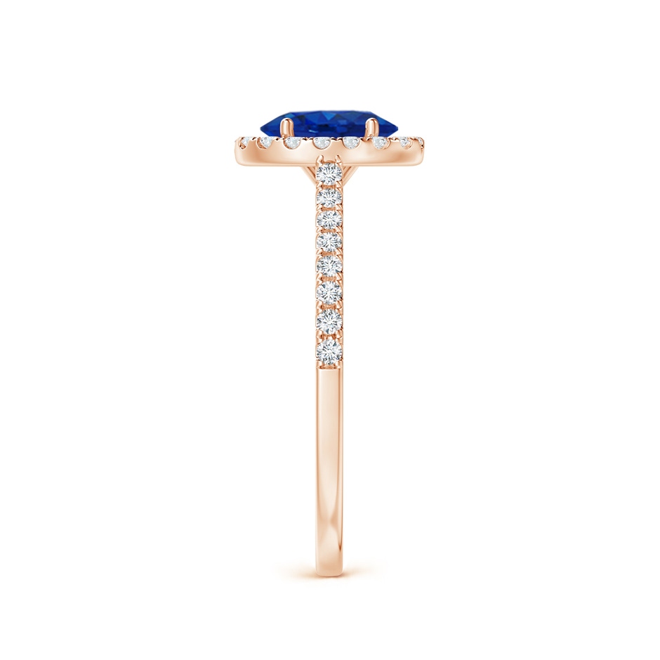 7x5mm AAA Oval Sapphire Halo Ring with Diamond Accents in Rose Gold side 299