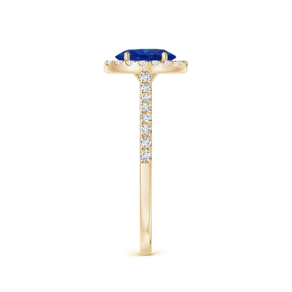7x5mm AAA Oval Sapphire Halo Ring with Diamond Accents in Yellow Gold side 299