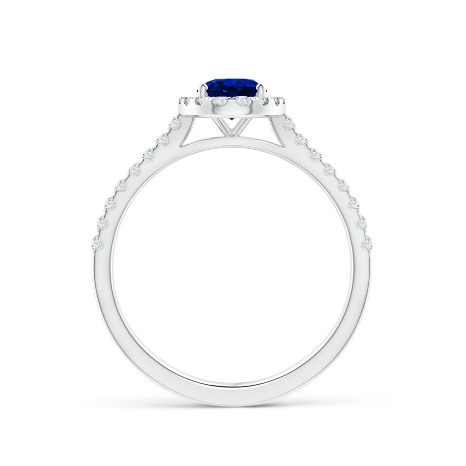 7x5mm AAAA Oval Sapphire Halo Ring with Diamond Accents in P950 Platinum side 199