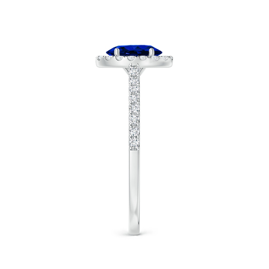 7x5mm AAAA Oval Sapphire Halo Ring with Diamond Accents in P950 Platinum side 299