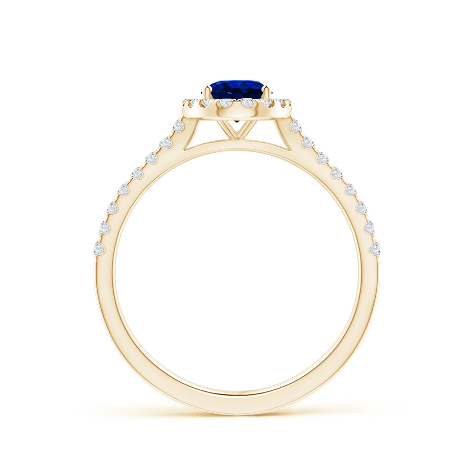 7x5mm AAAA Oval Sapphire Halo Ring with Diamond Accents in Yellow Gold side 199