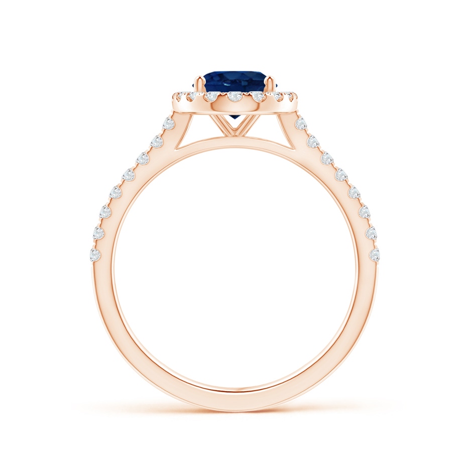 8x6mm AA Oval Sapphire Halo Ring with Diamond Accents in Rose Gold side 199