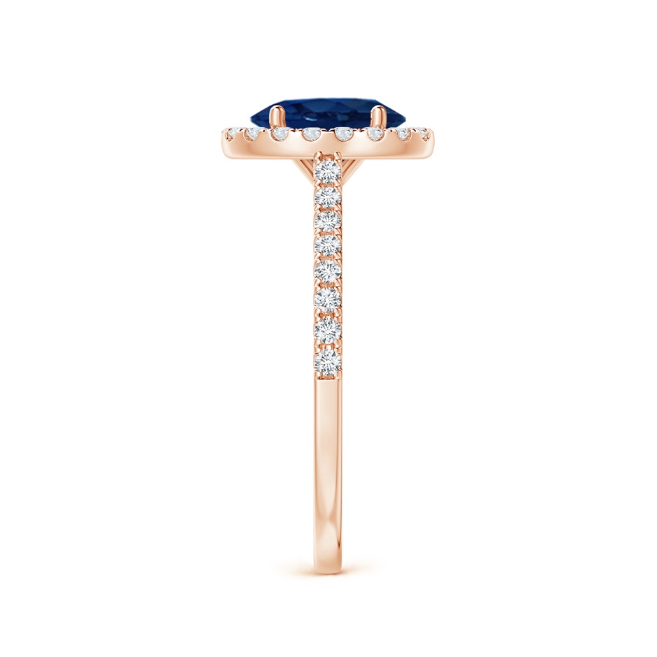 8x6mm AA Oval Sapphire Halo Ring with Diamond Accents in Rose Gold side 299