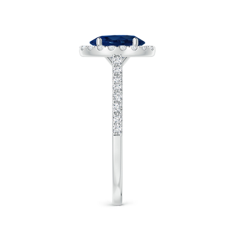 8x6mm AA Oval Sapphire Halo Ring with Diamond Accents in White Gold side 299