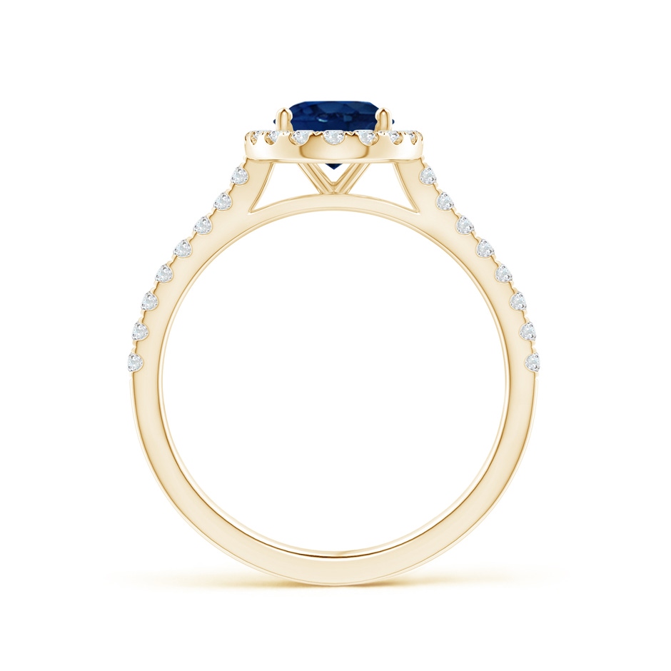 8x6mm AA Oval Sapphire Halo Ring with Diamond Accents in Yellow Gold side 199