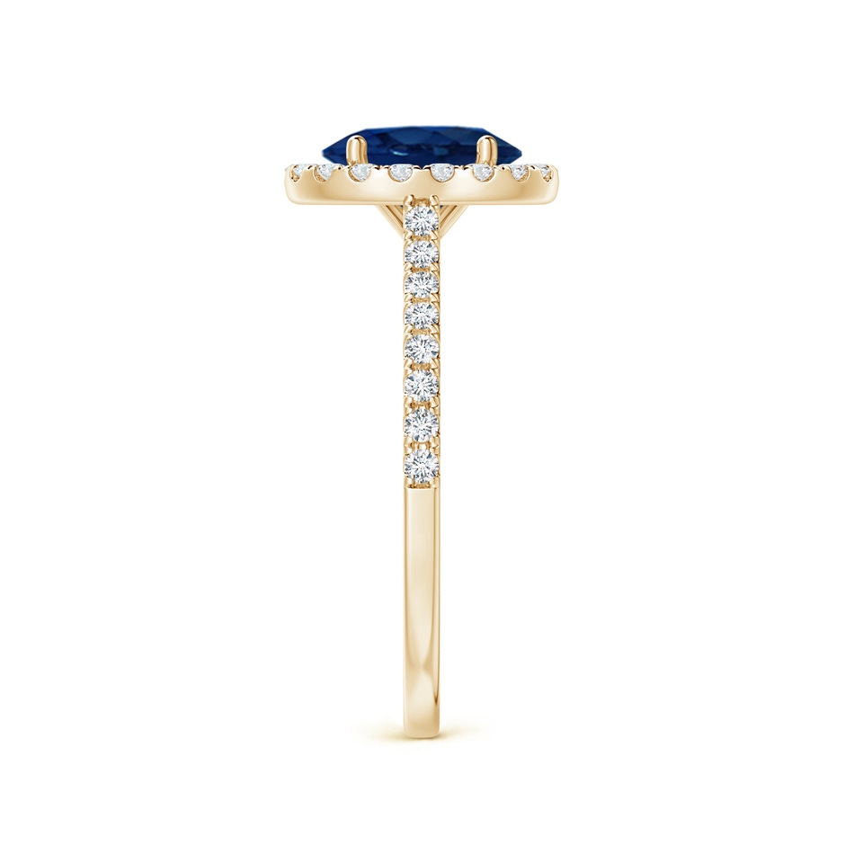 8x6mm AA Oval Sapphire Halo Ring with Diamond Accents in Yellow Gold side 299