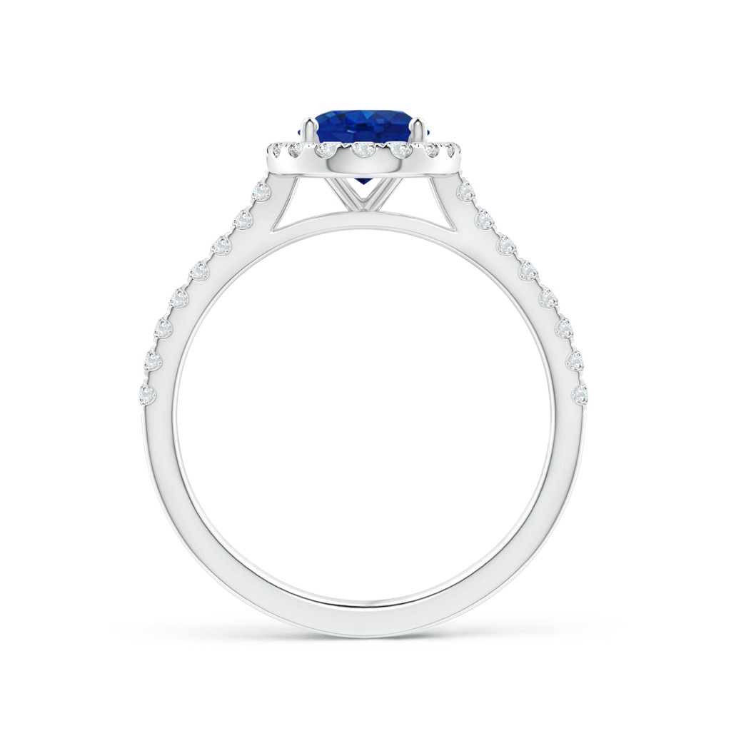 8x6mm AAA Oval Sapphire Halo Ring with Diamond Accents in P950 Platinum Side 199